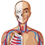 Logo of Anatomy Guide android Application 