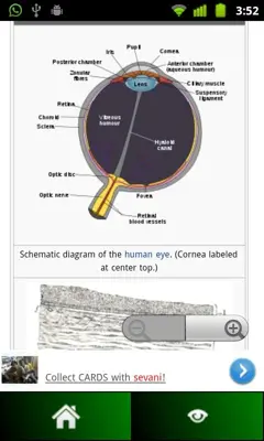 Anatomy Guide android App screenshot 0